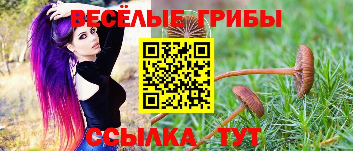 Псилоцибиновые грибы Аксай